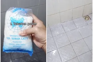 Andalkan 2 bahan dapur, begini trik ampuh membasmi cacing di kamar mandi agar tak muncul lagi
