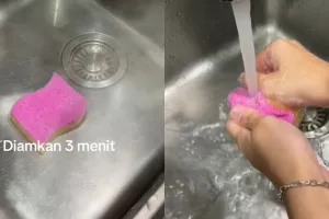 Tak direndam cuka dan soda kue, trik basmi kuman di spons cuci piring ini cuma pakai 2 bahan sederhana