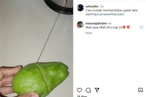 Jangan cuma digosok-gosok, ini trik menghilangkan getah labu siam hingga tuntas pakai 1 bahan dapur