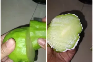 Jangan cuma digosok-gosok, ini trik menghilangkan getah labu siam hingga tuntas pakai 1 bahan dapur