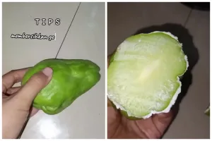 Jangan cuma digosok-gosok, ini trik menghilangkan getah labu siam hingga tuntas pakai 1 bahan dapur