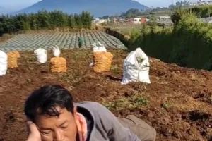 11 Meme lucu ala bapak-bapak ini kelewat absurd, bikin mikir dua kali