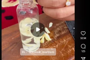 Tak perlu bikin racikan khusus, ini trik agar rumah tak didatangi cicak dan kecoak pakai 1 bahan dapur