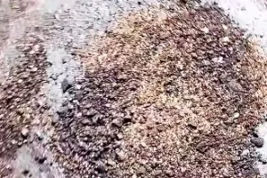 Cara cepat hilangkan kerak gosong di teflon ini pakai 1 bahan dapur, auto bersih dalam waktu 10 menit