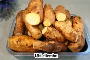 Bukan dioven, ini trik memanggang ubi madu cilembu agar lumer tanpa bahan tambahan