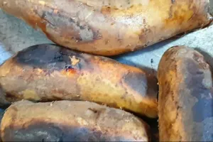 Bukan dioven, ini trik memanggang ubi madu cilembu agar lumer tanpa bahan tambahan