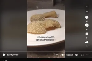 Bukan pakai kapur sirih, ini trik merebus babat agar tak prengus dan teksturnya selembut kulit ayam