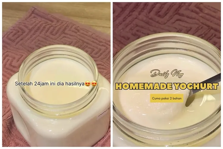 Tanpa cuka apel, trik membuat yogurt tanpa pengawet dengan 2 bahan ini tahan hingga 2 minggu