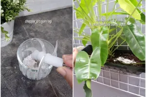 Trik merawat blender daging agar pisaunya tetap tajam dan nggak bau amis, bikin tahan lama dipakai
