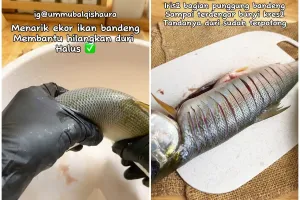 Tak perlu pisau, trik bersihkan sisik ikan ini lebih cepat dan aman tanpa khawatir tangan lecet