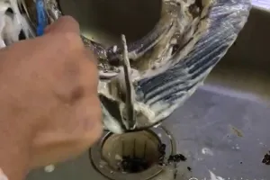 Tanpa cuka dan air panas, begini trik bersihkan tungku kompor berkerak dan penuh lemak pakai 3 bahan