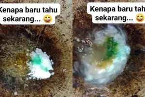 Cara basmi noda kerak gosong dan lemak ini ampuh bikin dasar wajan bersih, cuma gunakan 3 bahan dapur