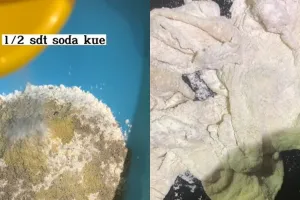 Trik goreng kulit ayam krispi agar tak alot, renyah hingga 3 bulan cukup tambah 1 bahan dapur