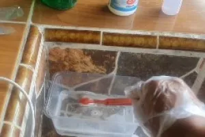 Bersih dalam sekali usap, ini cara hilangkan noda bintik hitam di plafon mobil pakai 2 bahan dapur