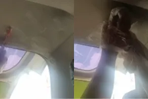 Bersih dalam sekali usap, ini cara hilangkan noda bintik hitam di plafon mobil pakai 2 bahan dapur