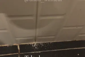 Tak perlu disiram cuka, ini cara basmi cacing kecil di kamar mandi cukup pakai 1 bumbu dapur