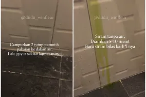 Tak perlu disiram cuka, ini cara basmi cacing kecil di kamar mandi cukup pakai 1 bumbu dapur