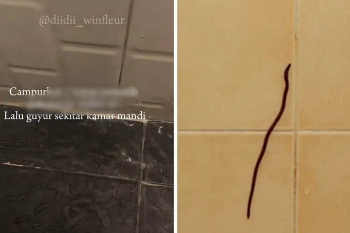 Tak perlu disiram cuka, ini cara basmi cacing kecil di kamar mandi cukup pakai 1 bumbu dapur