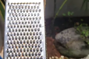 Sering memarut kunyit? Ini trik ampuh menghilangkan kerak kunyit membandel di parutan pakai 1 bahan