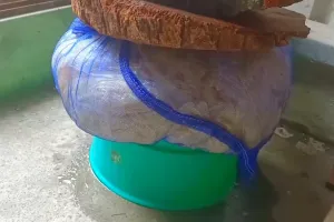 Mantan TKW ini punya trik mengeringkan rebung agar awet dan tak busuk berbulan-bulan meski tanpa oven