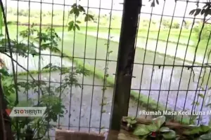 Rumah ibunda Luna Maya di Bali dikelilingi sawah, ini 9 potret dapurnya sederhana tanpa kitchen set