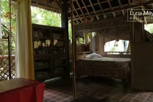 Rumah ibunda Luna Maya di Bali dikelilingi sawah, ini 9 potret dapurnya sederhana tanpa kitchen set