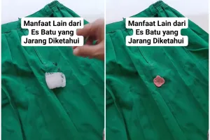 Bukan diolesi minyak, ini trik menghilangkan permen karet di pakaian tanpa bekas pakai 1 bahan makanan