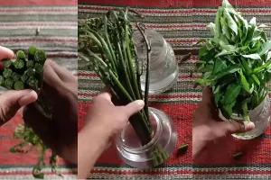 Jangan dibuang, ini trik kembalikan sayur pakis dan kangkung layu jadi segar lagi bak baru dipetik