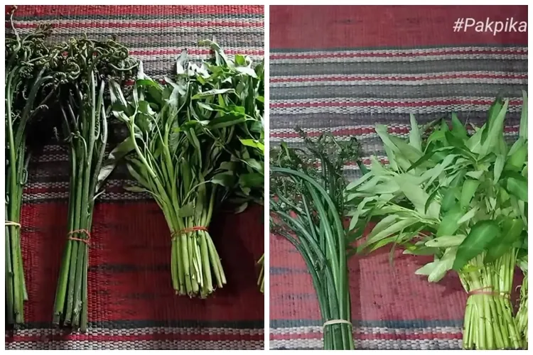Jangan dibuang, ini trik kembalikan sayur pakis dan kangkung layu jadi segar lagi bak baru dipetik