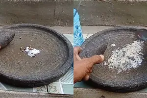 Tak usah beli obat pengusir serangga, ini cara bikin ramuan pembasmi semut cuma modal 2 bumbu dapur