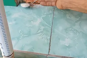 Tak usah beli obat pengusir serangga, ini cara bikin ramuan pembasmi semut cuma modal 2 bumbu dapur