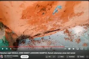 Tak usah beli obat pengusir serangga, ini cara bikin ramuan pembasmi semut cuma modal 2 bumbu dapur