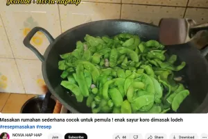 Trik masak lodeh sayur koro agar warnanya tetap hijau cerah, empuk, dan tak pahit