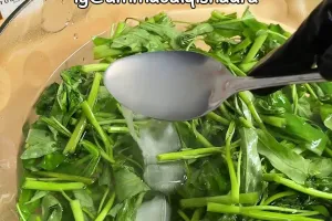 Jangan cuma direndam air es, ini trik mengembalikan kesegaran sayur kangkung layu pakai 1 bahan dapur