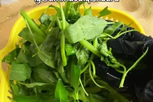 Jangan cuma direndam air es, ini trik mengembalikan kesegaran sayur kangkung layu pakai 1 bahan dapur