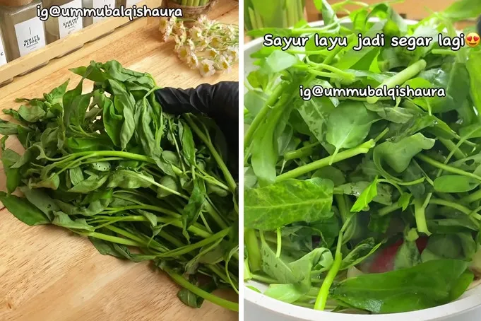 Jangan cuma direndam air es, ini trik mengembalikan kesegaran sayur kangkung layu pakai 1 bahan dapur