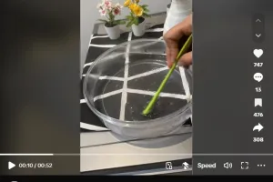 Tanpa disikat atau divakum, ini trik bersihkan kursi makan penuh noda dekil andalkan 1 bahan dapur