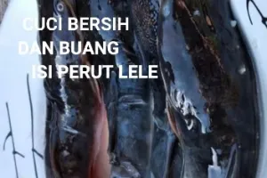 Simpel cuma andalkan 1 ampas dapur, ini trik masak lele asap agar smokey dan matang sempurna