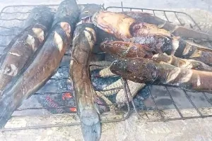 Simpel cuma andalkan 1 ampas dapur, ini trik masak lele asap agar smokey dan matang sempurna