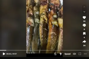 Simpel cuma andalkan 1 ampas dapur, ini trik masak lele asap agar smokey dan matang sempurna