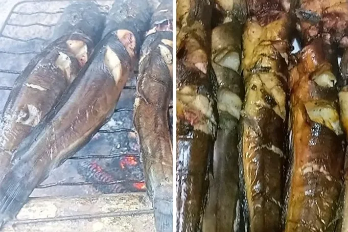 Simpel cuma andalkan 1 ampas dapur, ini trik masak lele asap agar smokey dan matang sempurna