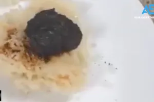 10 Masakan Azizah Salsha istri Pratama Arhan, masak nasi pakai microwave hasilnya di luar ekspektasi