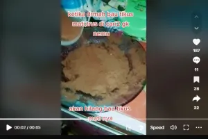 Cara simpel menghilangkan bau bangkai tikus di rumah, ampuh cuma modal 1 bahan minuman