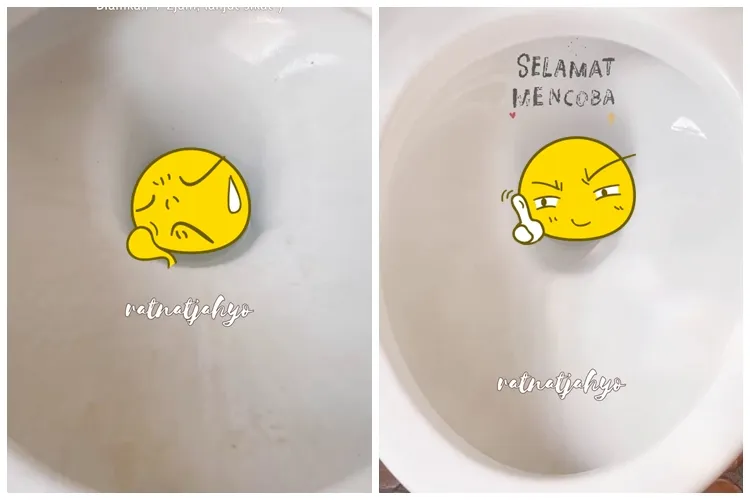 Bukan pakai sitrun atau air panas, ini trik hempaskan kerak membandel di kloset pakai 2 bahan dapur