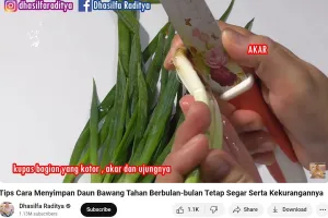Tetap hijau 1,5 bulan, ini trik simpan daun bawang agar tak busuk, layu, dan aromanya awet segar
