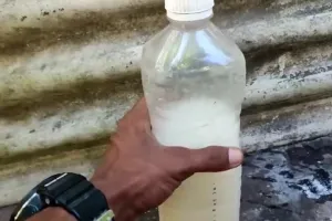 Tanpa pupuk kimia khusus, ini trik agar tanaman cepat berbuah cuma modal 3 bahan dapur