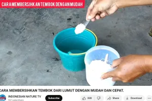 Auto luntur dalam sekali usap, ini cara bersihkan lumut menahun di tembok cuma dalam 1 menit