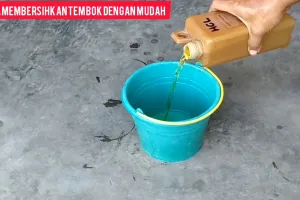 Auto luntur dalam sekali usap, ini cara bersihkan lumut menahun di tembok cuma dalam 1 menit