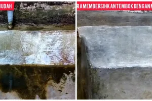 Auto luntur dalam sekali usap, ini cara bersihkan lumut menahun di tembok cuma dalam 1 menit