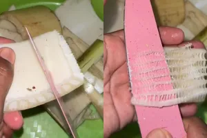 Trik bikin keripik gedebog pisang agar bebas getah, tak pahit, dan renyah andalkan 1 bahan dapur